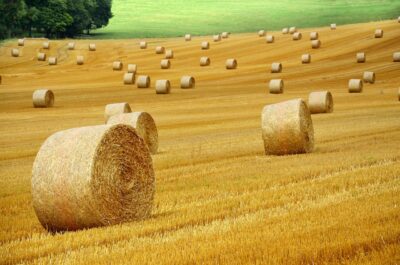 hay-bales-7387995_1280