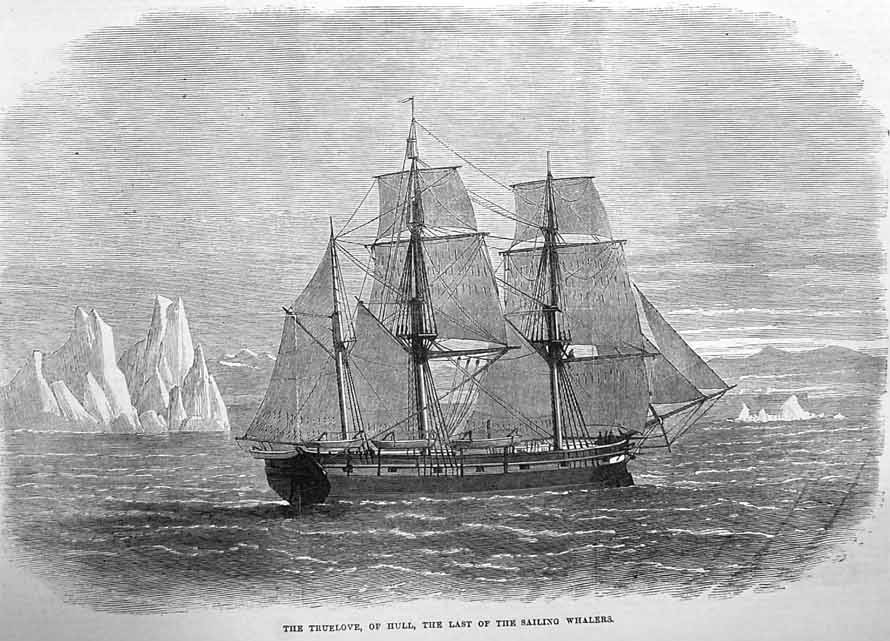 The_Truelove_Whaling_Ship_from_Hull